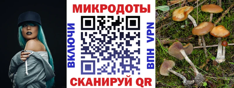 Галлюциногенные грибы Magic Shrooms  KRAKEN сайт  Томмот 