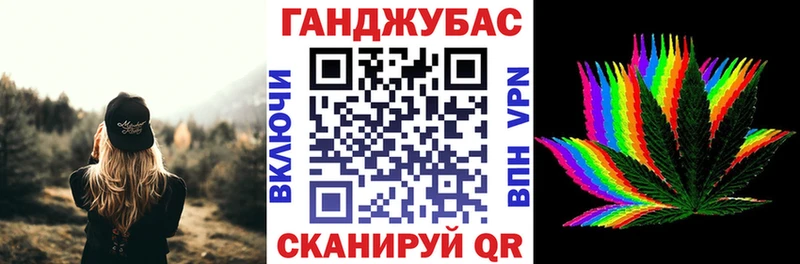 Марихуана сатива  Томмот 
